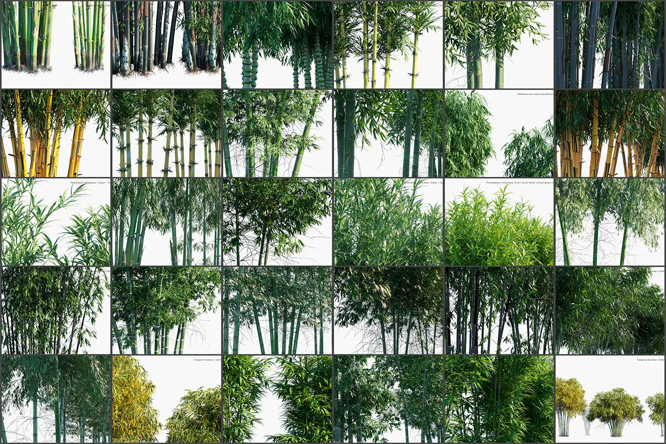 photo-collage.webp